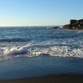 DSC 0019
