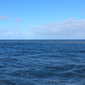 DSC 0040