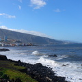 DSC 0042
