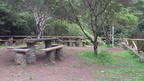 DSC 0242