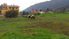DSC 0250