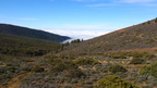 DSC 0252
