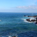 DSC 0279