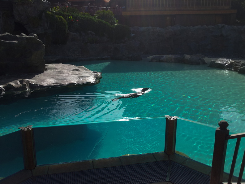 20130807_102503.jpg