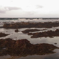 DSC 0682