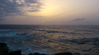 DSC 0699