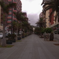 DSC 0706