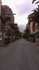 DSC 0706