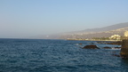 DSC 0781