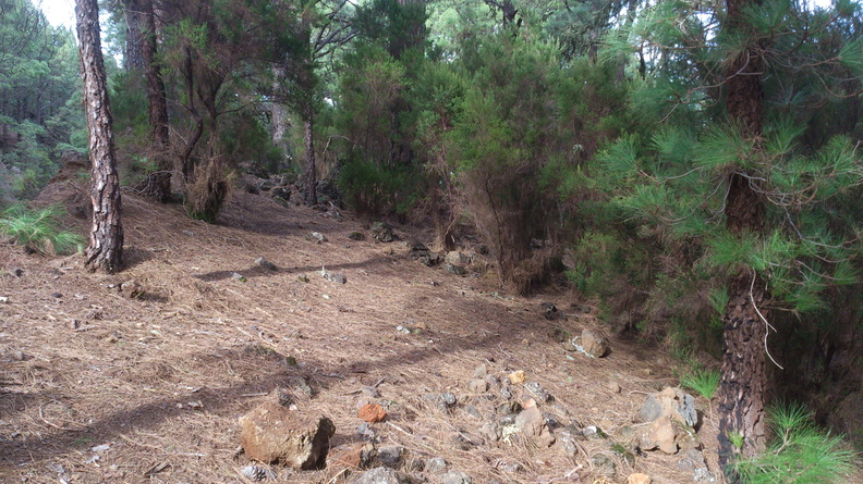 DSC_1014.jpg