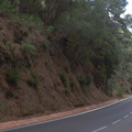 DSC 1016
