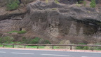 DSC 1019