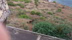 DSC 1029