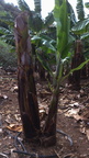 DSC 1035