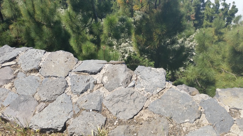 20170419_131501.jpg