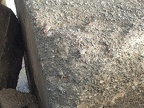 20180329 100556